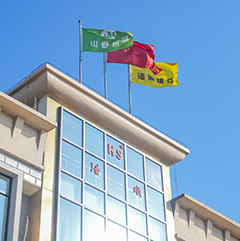 নান্টং হাওশুন কাস্টিং কোং লিমিটেড